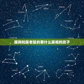 属狗和属老鼠的要什么属相的孩子，我和老婆，分别属狗和属鸡，俩孩子分别属