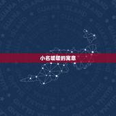 小名暖暖的寓意，小名乳名起名大全
