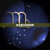 金牛男今天的运势，金牛座〈男〉每天运势