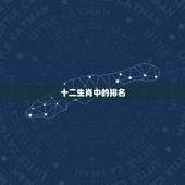 十二生肖中的排名，十二生肖最有福气排名