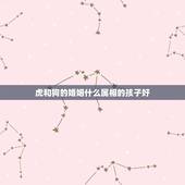 虎和狗的婚姻什么属相的孩子好，94属狗的和什么属相最配