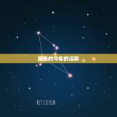 属兔的今年的运势，属兔的今年运势怎么样2022