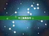 十二生肖五行，十二生肖分别属什么。(金木水火