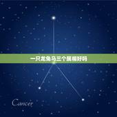 一只龙兔马三个属相好吗，龙兔应生什么属相的孩子好