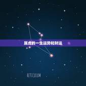 属虎的一生运势和财运，农历几日出生的属虎人财运好