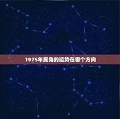 1975年属兔的运势在哪个方向，75年男兔中年财运婚姻