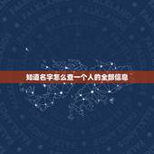 知道名字怎么查一个人的全部信息，怎样在excel一个表中输入一个人的名