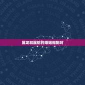 属龙和属蛇的婚姻相配吗，属蛇的和属龙的结婚好吗