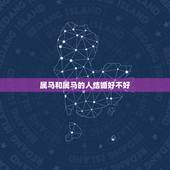 属马和属马的人结婚好不好，属马男2022 年结婚好不好