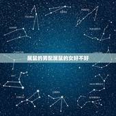 属鼠的男配属鼠的女好不好，男属鼠女属鼠婚姻状况