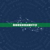 属相老鼠家里挂猫好不好，属鼠人家里放猫物件好吗？