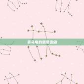 养乌龟的禁忌吉凶，在家养乌龟有什么忌讳吗？比如是带灾还是带福？（老人问