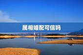 属相婚配可信吗，生肖合婚靠谱吗