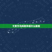 千军万马向前冲是什么属相，千军万马向前冲 是代表什么动物？