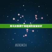 男马女猴要个啥属相的宝宝较好，男属蛇和女属猴生什么属相的孩子好