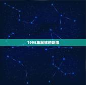 1995年属猪的姻缘，95年属猪的和什么属相最配