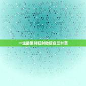 一生最聚财旺财微信名三叶草，带财运的微信名字大全
