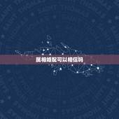 属相婚配可以相信吗，生肖配对可信吗？