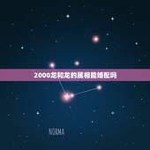 2000龙和龙的属相能婚配吗，2000年属龙女婚配最佳