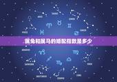 属兔和属马的婚配指数是多少，属马与属兔婚配怎样