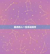 属虎的人一生命运如何，1998年属虎人一生命运