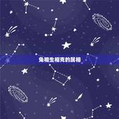 兔相生相克的属相，兔的相克属相