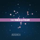 1987年属兔2023年运势，属兔的人2023年鼠年全年运程