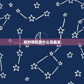 猪的婚配属什么是最吉，属相婚配表之属猪的和什么属相最配