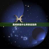 属虎的是什么年份出生的，属虎的是200几年出生的
