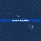 属龙男与属蛇女配吗，属龙男与属蛇女婚配好不好