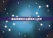 属鼠老板和什么属相员工合财，属鼠的人和什么属相做生意合财？