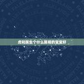 虎和属生个什么属相的宝宝好，属牛和属虎的生个什么属相的孩子好