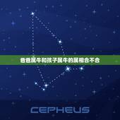 爸爸属牛和孩子属牛的属相合不合，儿子是属虎和爸爸属牛相克吗？