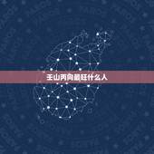 壬山丙向最旺什么人，壬山丙向阴宅占自旺字吗？