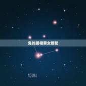 兔的属相男女婚配，男女属兔好不好
