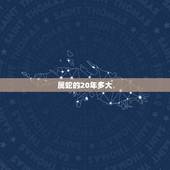 属蛇的20年多大，属狗的2022 年多大