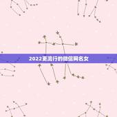 2022更流行的微信网名女，微信网名大全2023最新版的可爱女
