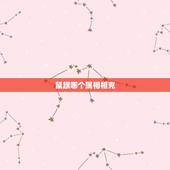 鼠跟哪个属相相克，鼠跟什么属相冲