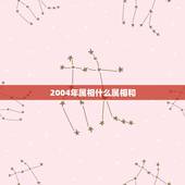 2004年属相什么属相和，2004年一月十五日生的人是什么属相