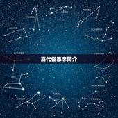 嘉代任家忠简介，四大名捕的剧情介绍