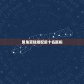 属兔更佳婚配前十名属相，属龙的更佳婚配属相