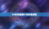 83年的猪跟87年的兔婚配，都说83年的猪和87年的兔合，但按五行一个