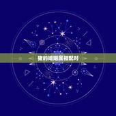猪的婚姻属相配对，属猪人更佳婚配对象