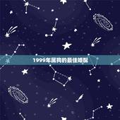 1999年属狗的最佳婚配，属狗的最佳配偶