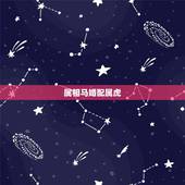 属相马婚配属虎，属虎的和什么属相最配 属虎的和属马的合适吗
