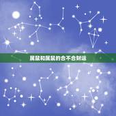 属鼠和属鼠的合不合财运，属鼠人跟属什么合财