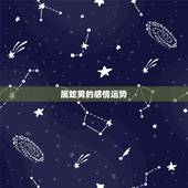 属蛇男的感情运势，属蛇男下半年感情运势