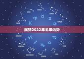 属猪2022年全年运势，1995年2022 年属猪运势