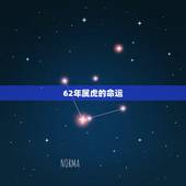 62年属虎的命运，1962年属虎的女人是什么命