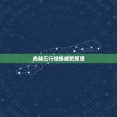 尚赫五行经络减肥原理，尚赫五行经络减肥为什